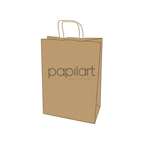 Torba papierowa z uchem 305x170x425 mm brązowa 150 szt.