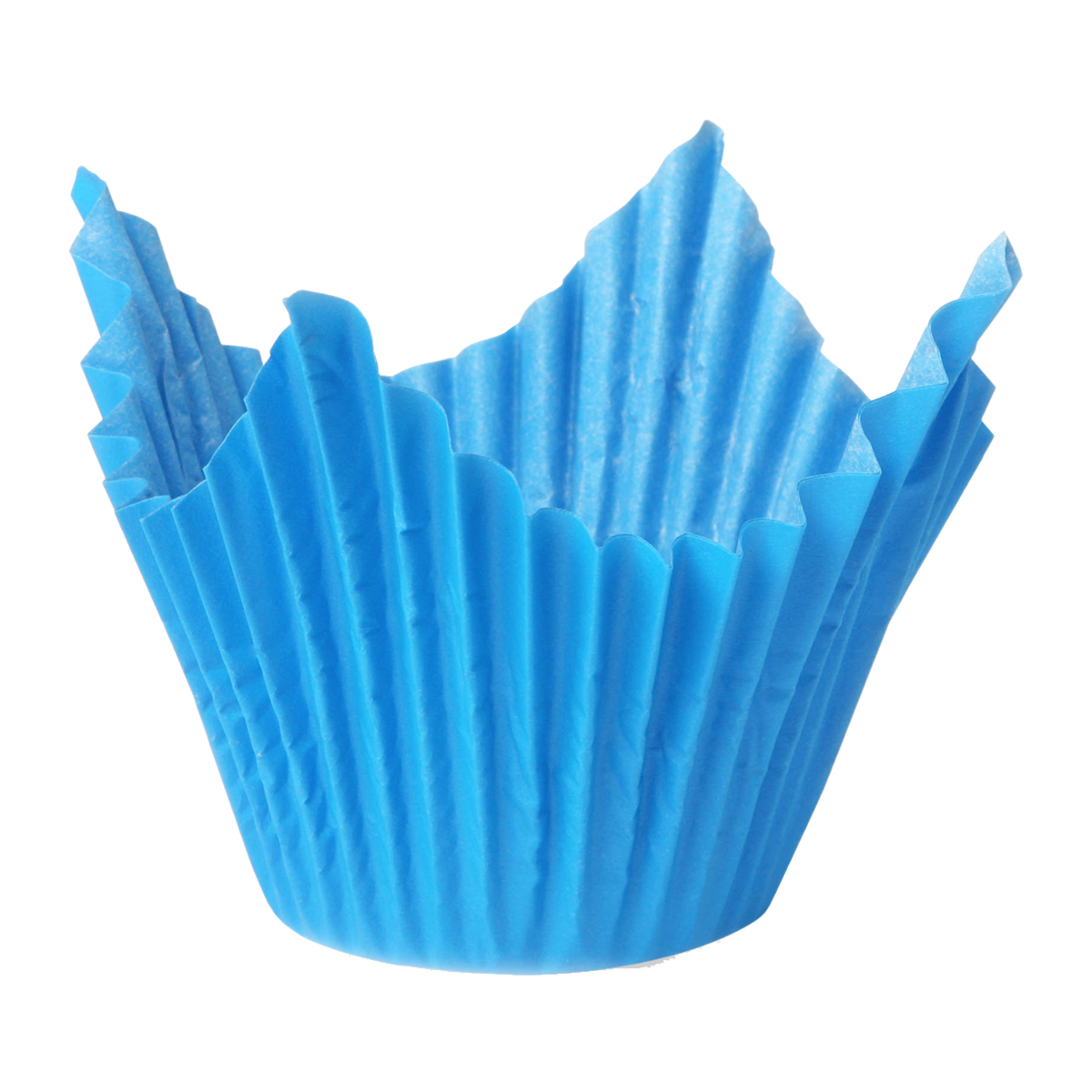 Papilotki korona niebieskie 50x70 mm